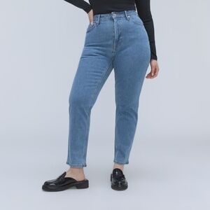 NWT Everland Curvy Cheeky Hourglass 29R